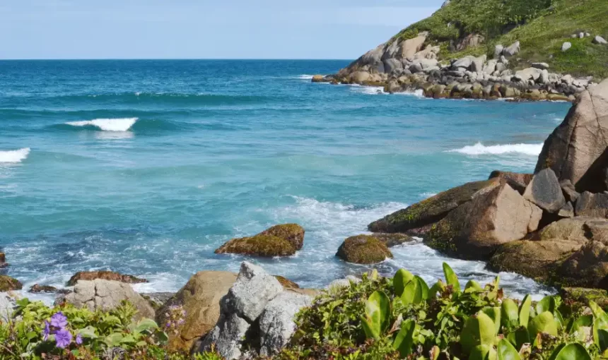 Praia do Rosa, Imbituba e Garopaba: transporte