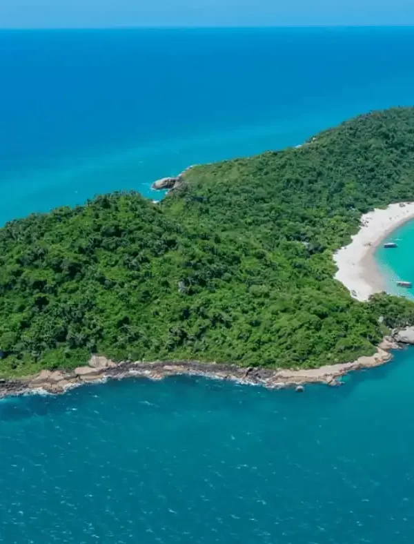 Tudo sobre a Ilha do Campeche o paraíso ecológico de Florianópolis: história, como ir, quanto custa e muito mais...