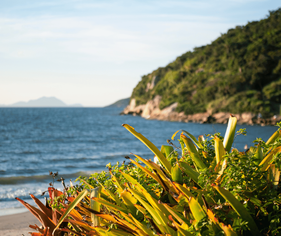 Praia dos Ingleses, Florianópolis em 4 dias