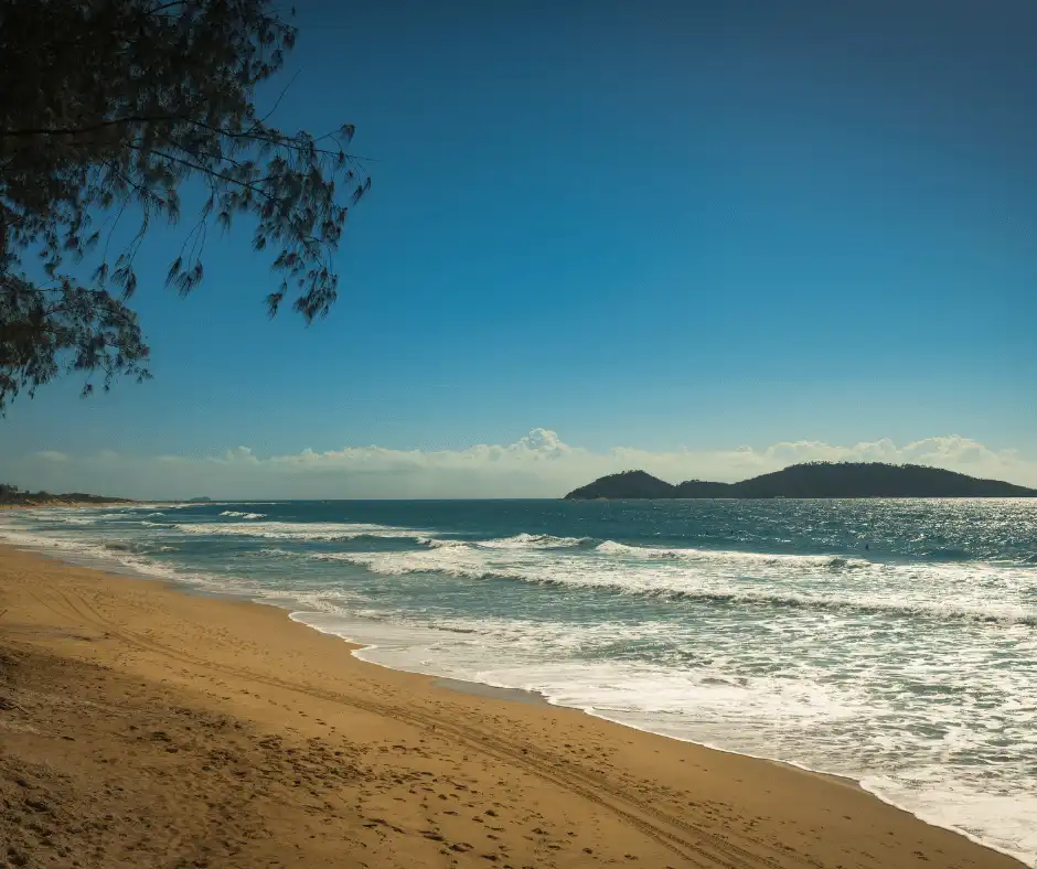 Praia do Campeche - Passeio City Tour Sul de Florianópolis