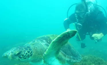 mergulho florianópolis