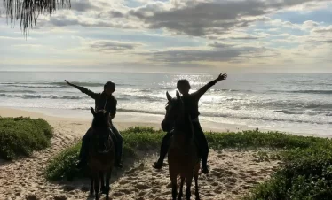 Nesse passeio a cavalo em Florianópolis a cavalgada será pelas deslumbrantes paisagens das trilhas do Parque Estadual do Rio Vermelho e pela Praia do Moçambique!