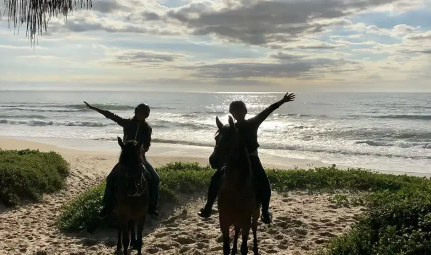 Passeio a Cavalo em Florianópolis