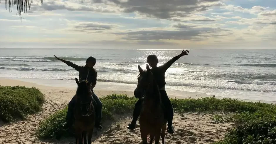 Nesse passeio a cavalo em Florianópolis a cavalgada será pelas deslumbrantes paisagens das trilhas do Parque Estadual do Rio Vermelho e pela Praia do Moçambique!