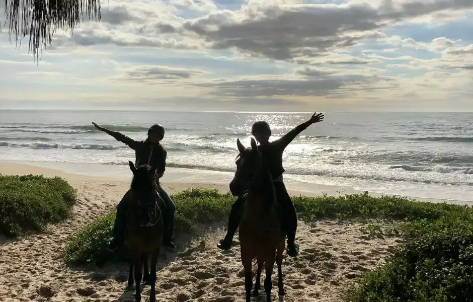 Nesse passeio a cavalo em Florianópolis a cavalgada será pelas deslumbrantes paisagens das trilhas do Parque Estadual do Rio Vermelho e pela Praia do Moçambique!