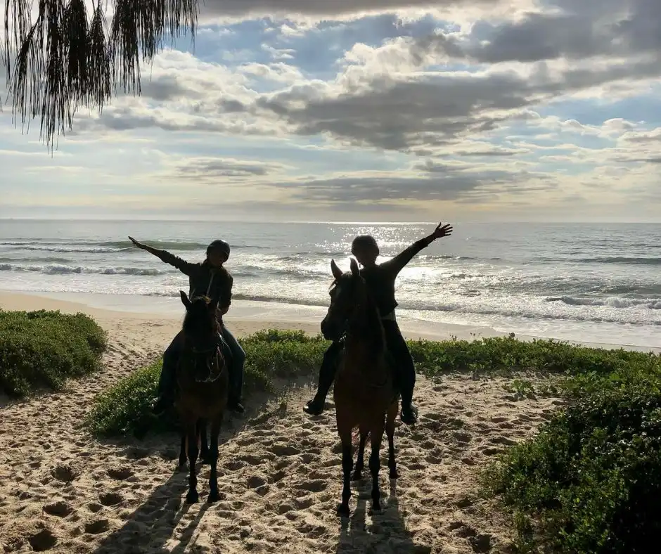 Nesse passeio a cavalo em Florianópolis a cavalgada será pelas deslumbrantes paisagens das trilhas do Parque Estadual do Rio Vermelho e pela Praia do Moçambique!