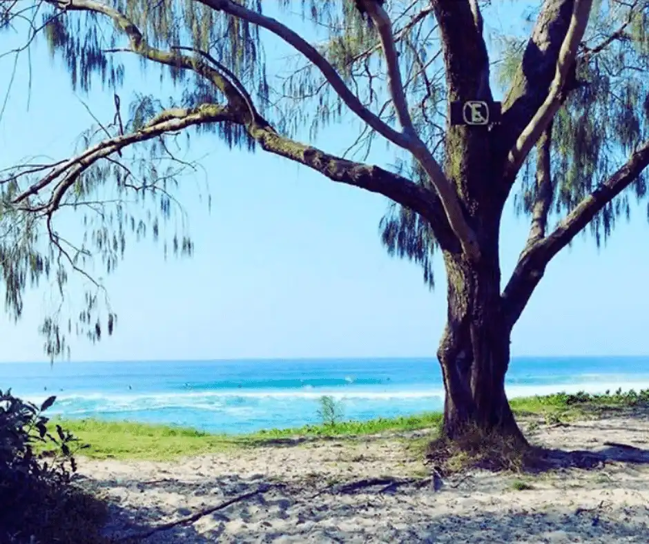 praia do mocambique