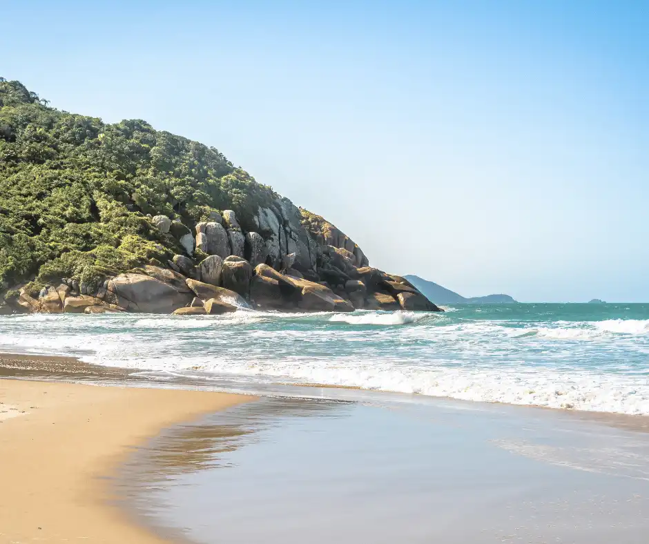 Desvendando a Praia Brava: Um Convite à Descoberta