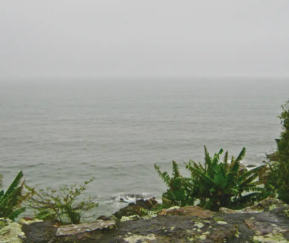 Descubra o que fazer em Florianópolis com chuva: Diversão sob gotas d'água